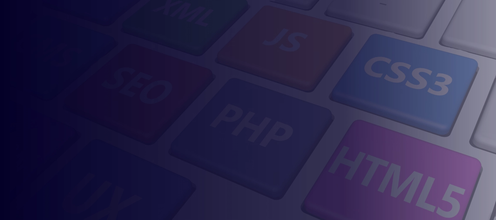 Web Development & Business Systems